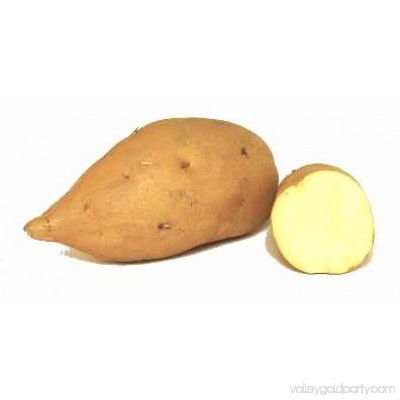 White Sweet Potatoes 553116819